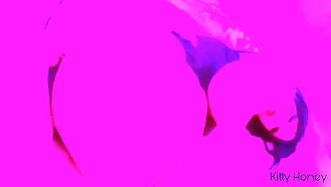 Hot brunette takes a hard cock